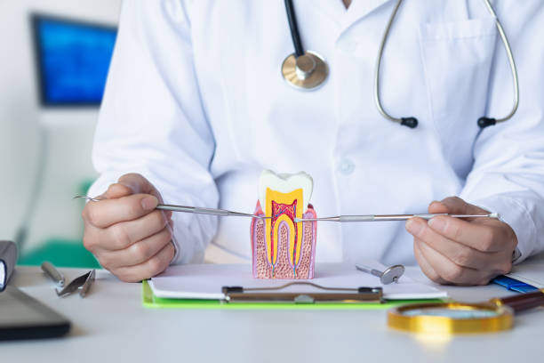 Best Mobile Emergency Dentist in West Point, VA